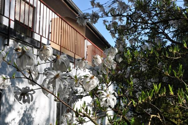 Hostellerie Val Fleuri Mersch Exterior foto